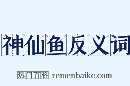 神仙鱼反义词是什么意思的图片